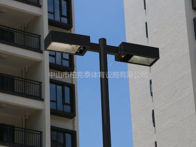 山東建設球場電桿安裝 網(wǎng)球場8M燈桿做法 柏克電桿廠家