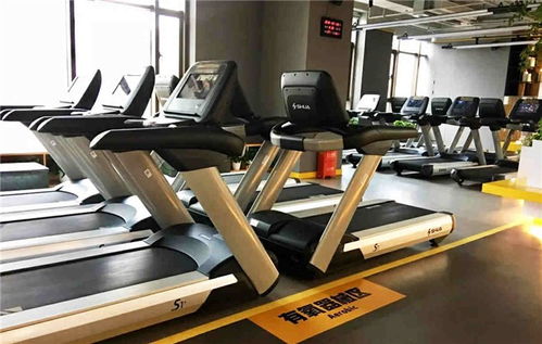 襄陽戶外健身器材 舒揚文體用品 圖