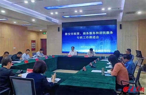 泰安市租賃、商務服務和居民服務專班工作推進會召開 聚焦軟件開發與應用